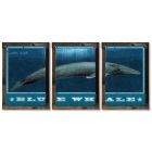 Blue Whale, METAL Triptych, Optional Rustic Wood Frame, Whale Watching, Wall Art, Ocean, Nautical