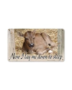 Baby Calf, Home and Garden, Metal Sign, 14 X 8 Inches