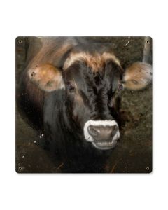 Cow Face, Home and Garden, Metal Sign, 12 X 12 Inches