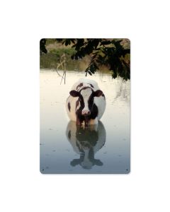 Cow in Water, Home and Garden, Metal Sign, 18 X 12 Inches