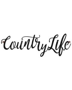 Country Life Vintage Sign, Home & Garden, Metal Sign, Wall Art, 30 X 10 Inches