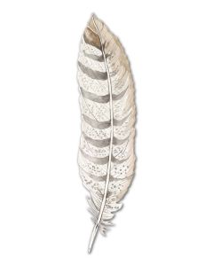 Feather Vintage Sign, Home & Garden, Metal Sign, Wall Art, 5 X 20 Inches 1
