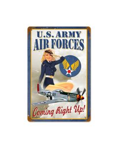 Air Forces Pin Up Vintage Sign, Aviation, Metal Sign, Wall Art, 12 X 18 Inches