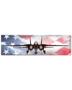 Planes F14 Tomcat American Flag