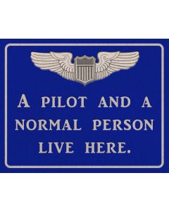 Pilot And Normal Person Vintage Sign
