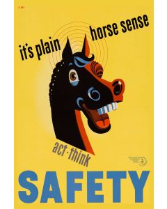 Plain Horse Sense Vintage Metal Sign