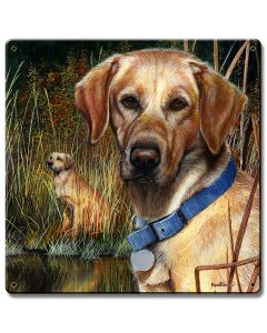 Yellow Lab Satin, Featured Artists/Kevin Daniel Art, Satin, 12 X 12 Inches