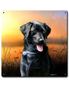 Black Lab At Sunset, Featured Artists/Kevin Daniel Art, Satin, 12 X 12 Inches