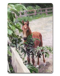 Kentucky Pride Horse, Featured Artists/Kevin Daniel Art, Satin, 12 X 18 Inches