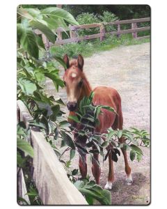Kentucky Pride Horse, Featured Artists/Kevin Daniel Art, Satin, 24 X 36 Inches