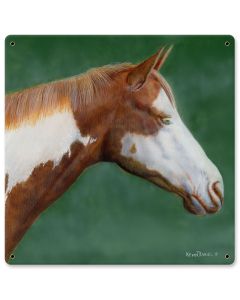 Pinto Horse, Featured Artists/Kevin Daniel Art, Satin, 12 X 12 Inches