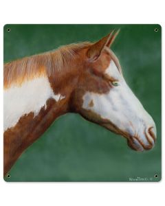 Pinto Horse, Featured Artists/Kevin Daniel Art, Satin, 18 X 18 Inches