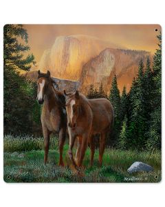 Horse Grass Sunset, Featured Artists/Kevin Daniel Art, Satin, 18 X 18 Inches