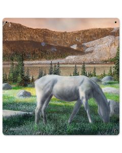 Horse Eating Grass, Featured Artists/Kevin Daniel Art, Satin, 18 X 18 Inches