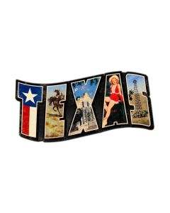 Texas Landmarks, Travel, Custom Metal Shape, 28 X 15 Inches