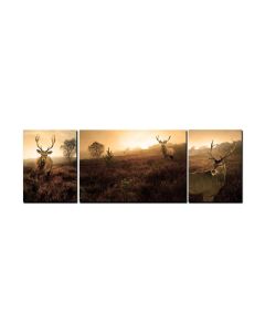 Deer Wilderness, Home and Garden, Triptych, 38 X 16 Inches