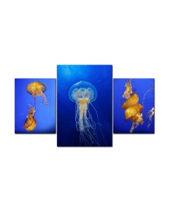 Jelly Fish Sea, Home and Garden, Triptych, 40 X 16 Inches