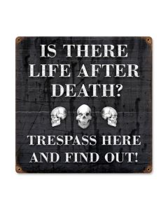 Life After, Humor, Vintage Metal Sign, 12 X 12 Inches