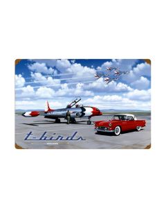 T Birds, Aviation, Vintage Metal Sign, 24 X 16 Inches