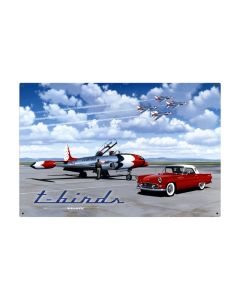 T Birds, Aviation, Metal Sign, 36 X 24 Inches